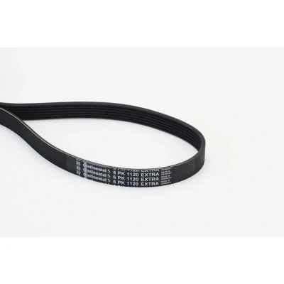Immagine di CONTITECH 6PK1120 EXTRA Cinghia Poly V 1120 6 AUDI: A6 C8 Avant, A4 B9 Q5