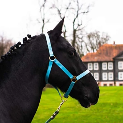 Immagine di Cavezza per Cavallo, Sangue Caldo, Pieno, Freddo stalla, in Vimini, 2 Posizioni (Turchese, Shetland Pony (Shetty))