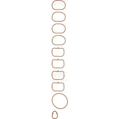 Immagine di REINZ 11 37648 01 Kit guarnizioni, Collettore aspirazione FIAT: Punto II Hatchback, BRAVO 2, Panda LANCIA: Ypsilon II, ALFA ROMEO: MiTo