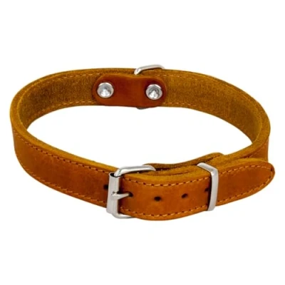 Immagine di JACK AND VANILLA, Collare per Cane, Modello Pelle Grassa, Colore Cognac, Misura 10 mm x 25 cm