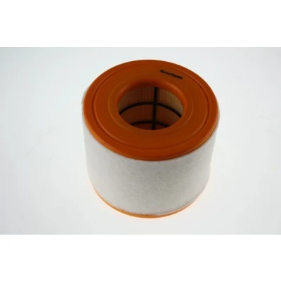 Immagine di AUTOMEGA 180028110 filtro aria 122 161 Cartuccia AUDI: A6 C7 Avant, Sedan, A8 D4