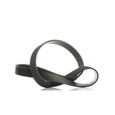 Immagine di SKF VKMV 6PK966 Cinghia Poly V 966 6 FORD: FOCUS 3 Turnier, C Max 2, S Mk1, VOLVO: V40 Hatchback, V50, V60 I, PEUGEOT: 308 SW II Hatchback