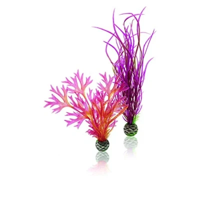 Immagine di biOrb Set di piante M rosso e rosa