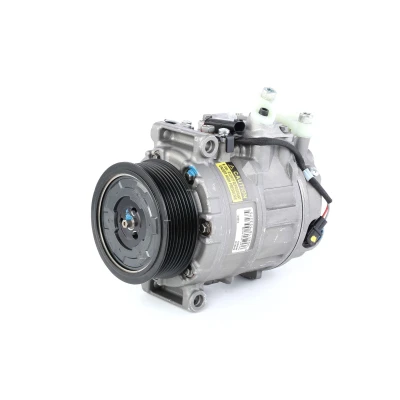 Immagine di NISSENS 89412 Compressore Aria Condizionata 7SEU17C 12 PAG 46 R 134a MERCEDES BENZ: Classe ML, R, S Sedan