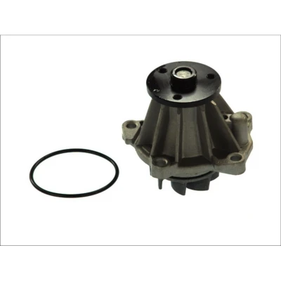 Immagine di THERMOTEC D1G033TT Pompa acqua con guarnizione meccanico FORD: Galaxy Mk1 MPV, Sierra Mk2 Sedan, Escort 5