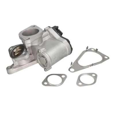 Immagine di DELPHI EG10631 12B1 Valvola EGR elettrico