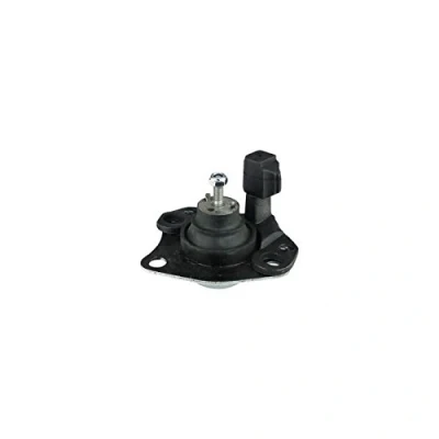 Immagine di DELPHI TEM039 Supporto motore anteriore RENAULT: MEGANE Scenic, Scénic 1, 1 Coach