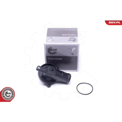 Immagine di ESEN SKV 20SKV176 Termostato, Refrigerante