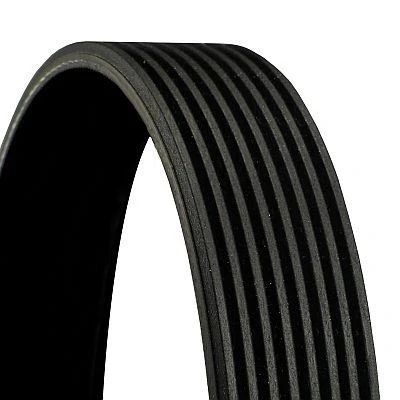 Immagine di CONTITECH 8PK1005 Cinghia Poly V 1005 8