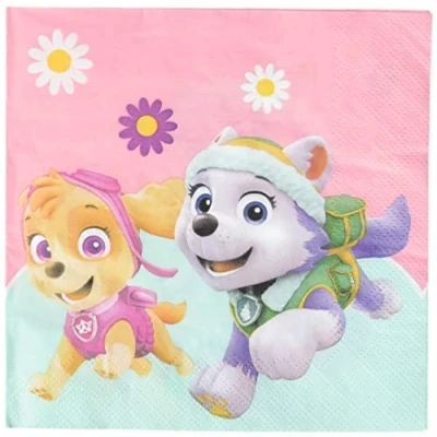 Immagine di Procos PR90277 Tovaglioli Paw Patrol Skye &amp; Everest, 20 Pezzi, Rosa/Verde