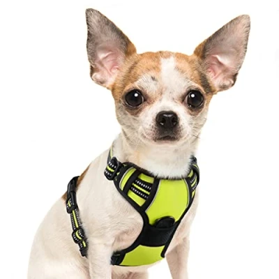 Immagine di Eagloo Pettorina Cane Taglia Piccola, ad h, Antifuga Cane, Anti Tiro per Cani con Doppio Gancio, Imbracatura Robusto e Regolabile Addestramento Passeggiate, S, Verde