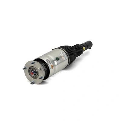 Immagine di Arnott AS 3069 Gamba elastica con ammortiz. pneumatico anteriore Dx LAND ROVER: Range Rover Sport