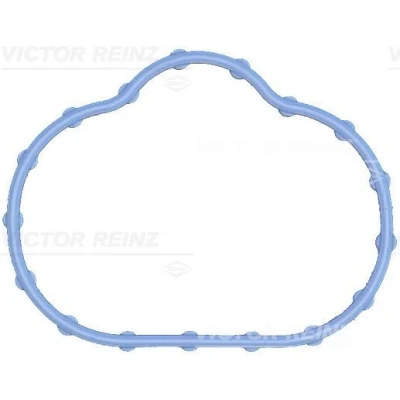 Immagine di REINZ 71 17497 00 Guarnizione Collettore Aspirazione FPM (Fluoro Caucciù) JAGUAR: X Type Sedan