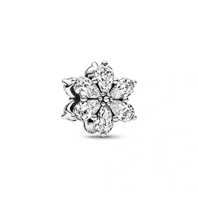 Immagine di Pandora Timeless Braccialetto con pendenti Argento 792623C01