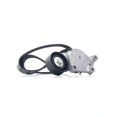Immagine di DAYCO KPV408 Kit cinghie Poly V FORD: Focus 2, Transit Courier Station Wagon, Ecosport Mk2, VOLVO: V50, V60 I, C30