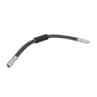 Immagine di DELPHI LH6245 Tubi Freno 350 M10x1 Int SF RENAULT: MASTER 2 Kasten