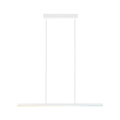 Immagine di Paulmann Lento 79887 Lampada LED a sospensione (monocolore) 13.5 W Bianco opaco