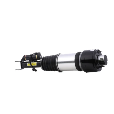 Immagine di Arnott AS 2786 Gamba elastica con ammortiz. pneumatico anteriore Sx MERCEDES BENZ: Classe E T modell, CLS Coupe, Sedan mister auto, norauto,