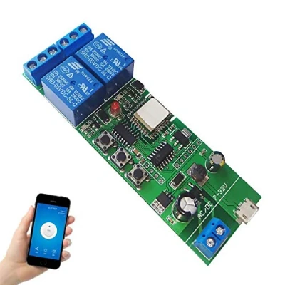 Immagine di Newgoal WiFi Relè jog momentaneo/Interruttore autobloccante Modulo fai da te Domotica intelligente Controllo APP compatibile Alexa/Google Assistant/IFTTT (DC2 ew)