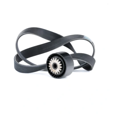 Immagine di DAYCO KPV183 Kit cinghie Poly V RENAULT: TWINGO 2, CLIO 4, 3, DACIA: SANDERO 2