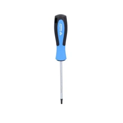 Immagine di BRILLIANT TOOLS BT031013 Giravite TORX, T20 x 100 mm [Powered by KS TOOLS]