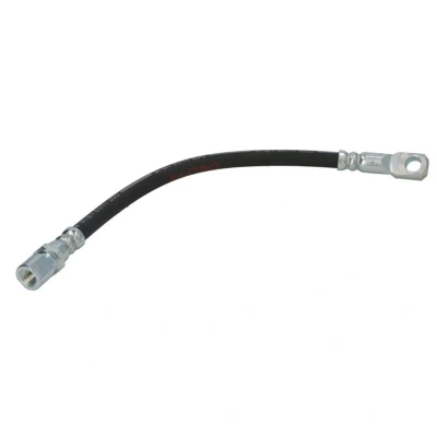 Immagine di DELPHI LH0230 Tubi Freno 298 Banjo FIAT: 127 Hatchback, 128 Sedan, Familiare, AUTOBIANCHI: A 112 LANCIA: Y10