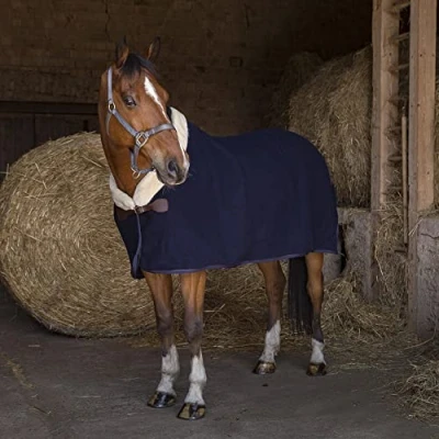 Immagine di Equithème Teddy Wool Rug