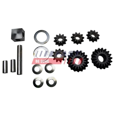 Immagine di FAST FT62450 Kit riparazione, Differenziale