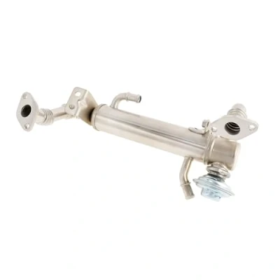 Immagine di DELPHI EG10582 12B1 Valvola EGR con radiatore IVECO: DAILY 4, 4 Kasten/Kombi