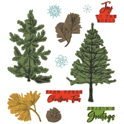 Immagine di Sizzix Framelits Timbri trasparenti formato A5, motivo Pine Holidays di 49 and Market