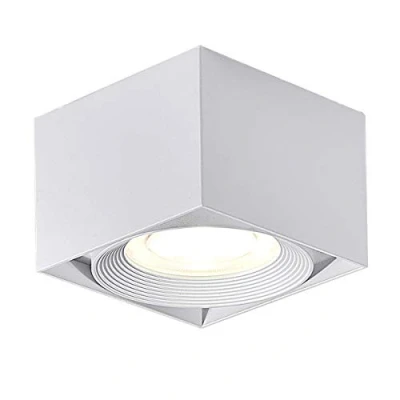 Immagine di Dr.lazy 10W LED Spot light Faretti da soffitto,Faretto Lampada,plafoniera faretto,Lampade Orientabili,Faretti muro,10x10x7CM (Bianco 4000K)