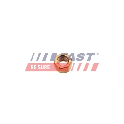 Immagine di FAST FT84702 Dado, Collettore gas scarico FORD: KA Hatchback, Galaxy Mk1 MPV, FIAT: Punto I OPEL: Meriva A