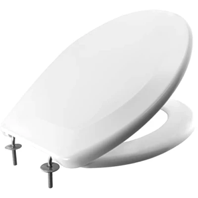 Immagine di BEMIS Ashford Thermoplast Sedile WC bianco con paraurti in plastica modellata nel sedile, cerniera metallo, infrangibile e riciclabile Termoplastico di lunga durata, facile installazione