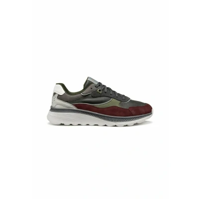 Immagine di Geox Sneakers basse multicoloured, Uomo, Taglia: 43, Multi/coloured Scarpe