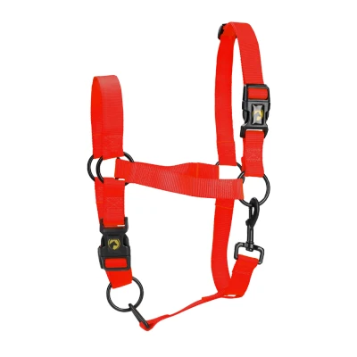 Immagine di Excellent Cavezza essenziale per cavalli M Rosso