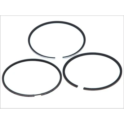 Immagine di KOLBENSCHMIDT 800044010000 Kit Fasce Elastiche 123,03