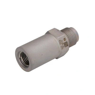 Immagine di Valvola di sovrapressione, sistema Common Rail BOSCH 1 110 010 033