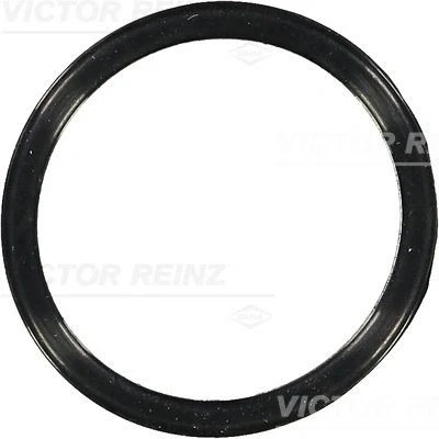 Immagine di REINZ 70 36583 00 Guarnizioni FORD: FIESTA 6, C Max 2, 5