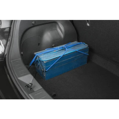 Immagine di WALSER 41504 Corda elastica con ganci