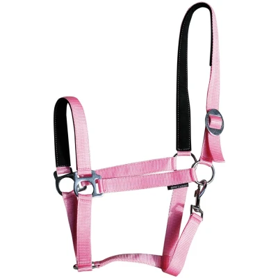Immagine di Harry&#039;s Horse Halter bridoonded Cob Rosa