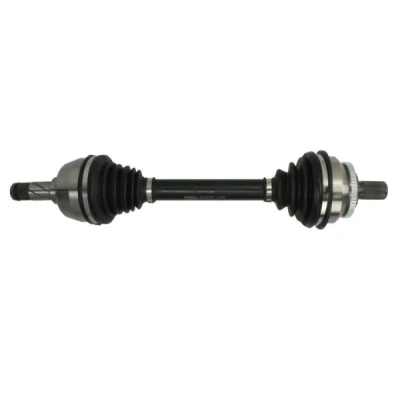 Immagine di Albero motore/Semiasse PASCAL G2V007PC