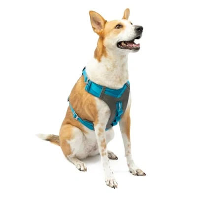 Immagine di Kurgo Journey Air Pettorina Cane Riflettente per Running, Camminate ed Hiking, Collare Stile Viaggio Blu, XL