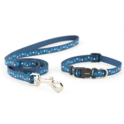 Immagine di Ancol Stars Coll Piccolo morso &amp; Piombo Set