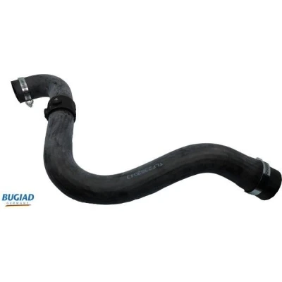 Immagine di BUGIAD 82043 Manicotto Turbina Gomma con morsetti RENAULT: Kangoo I Express, I, CLIO 2