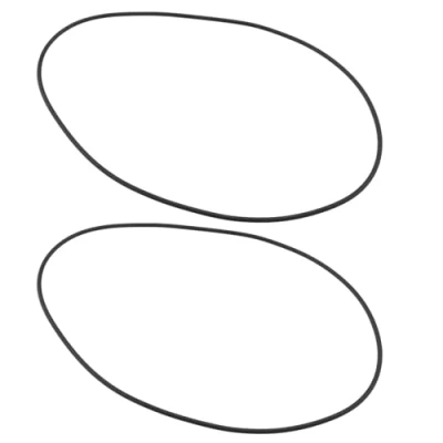 Immagine di LT Easiyl 2 Pezzi Cinghia Di Trasmissione Per Giradischi Elastica Ricambio In Gomma Compatibile Con Rega Diametro Filo 1,8mm Interno 109mm