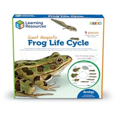 Immagine di Learning Resources Ciclo di Vita Una Rana Magnetico Gigante