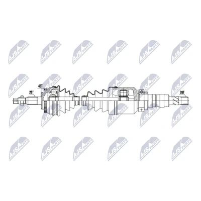 Immagine di Albero motore/Semiasse NTY NPW VV 150