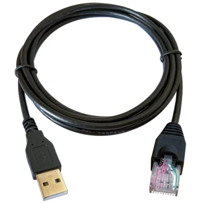 Immagine di DSD TECH SH RJ50A Cavo da USB a RJ50 10PIN per Dispositivi UPS APC Equivalente AP9827(1,8M/6FT)