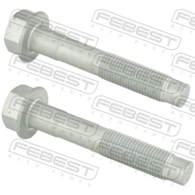 Immagine di FEBEST 0298 003 PCS2 Perno fissaggio, Braccio oscillante