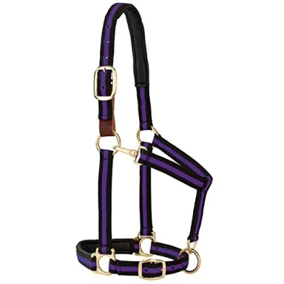 Immagine di Weaver Leather Capezza imbottita regolabile per mento e gola a scatto, 2,5 cm medio cavalli o anni, righe viola